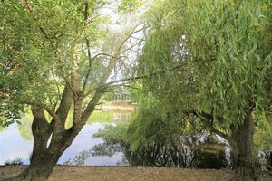 Lake - click for photo gallery